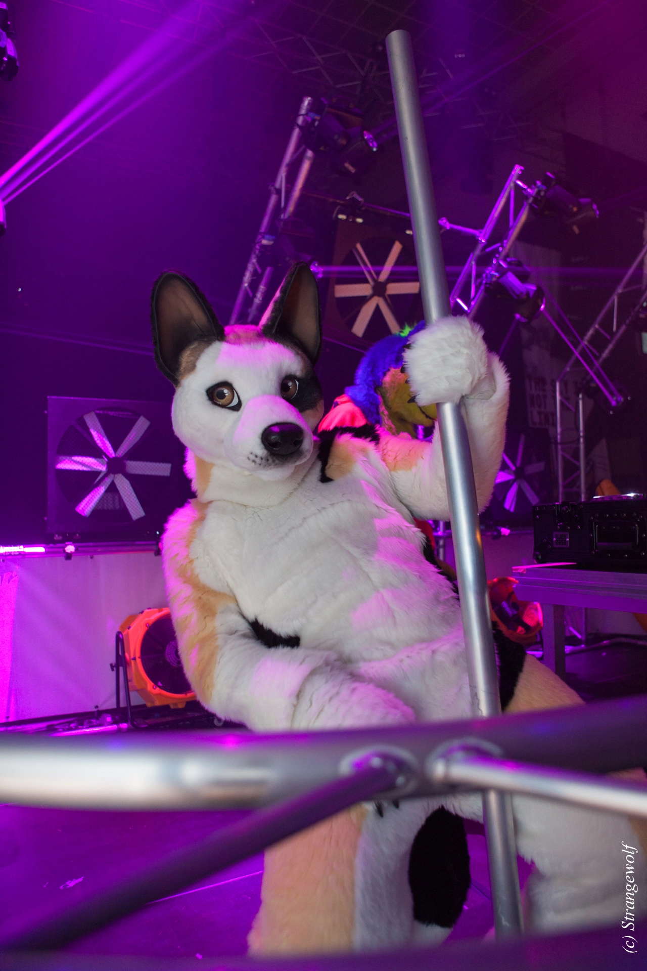 full image IMG_5050-lr19t.jpg