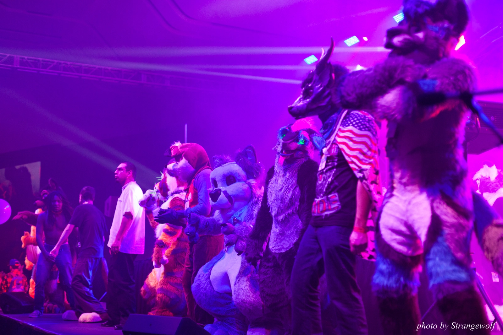 full image IMG_1231-lr16t.jpg