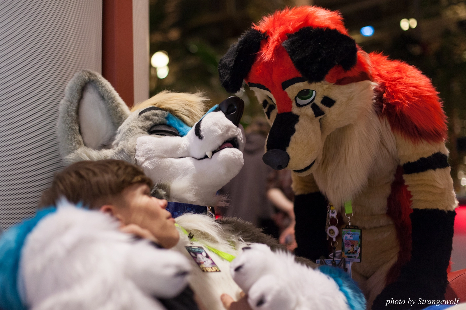 full image IMG_2505-lr16t.jpg