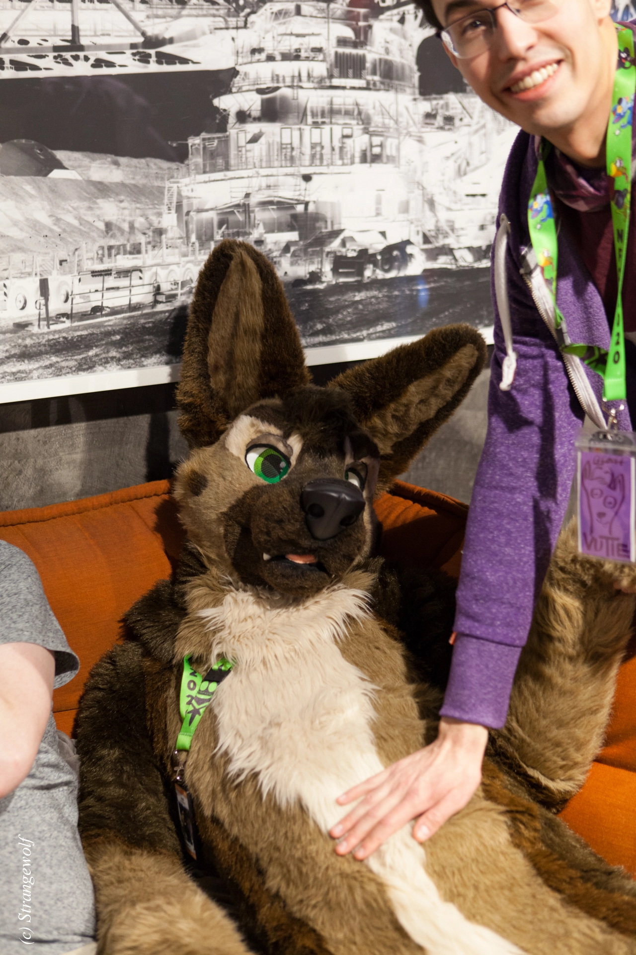 full image IMG_8951-lr19t.jpg