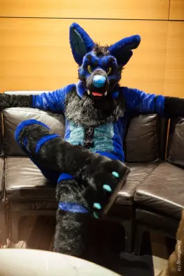 IMG_1617-lr19t.jpg of FWA/FWA2018/