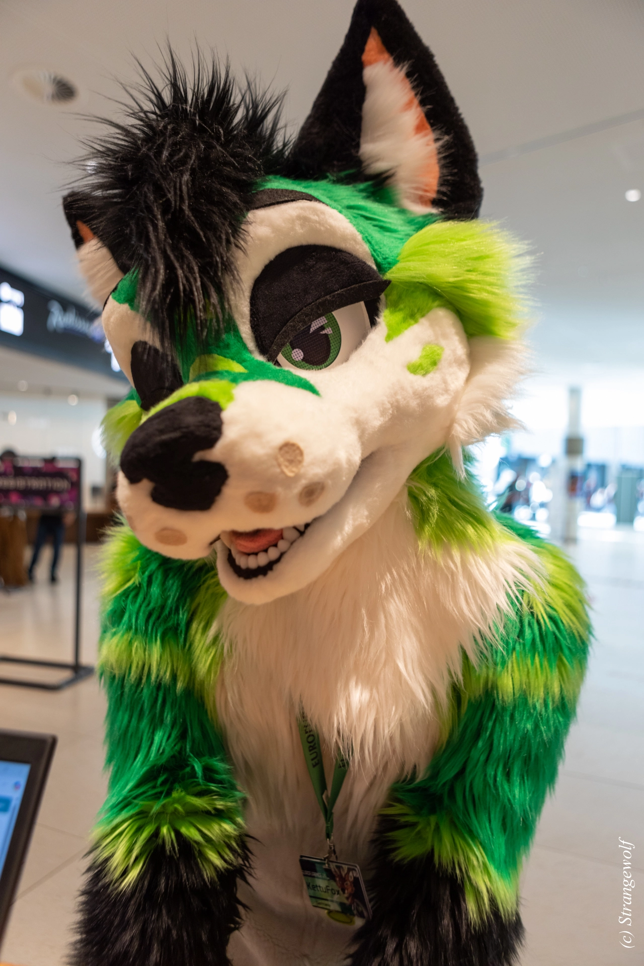 full image 1R3A9244-lr19t.jpg