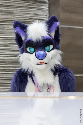 1R3A3258-lr19t.jpg of BLFC/BLFC2023/