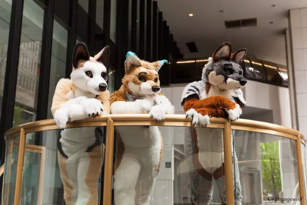 IMG_1691-lr19t.jpg of FWA/FWA2018/