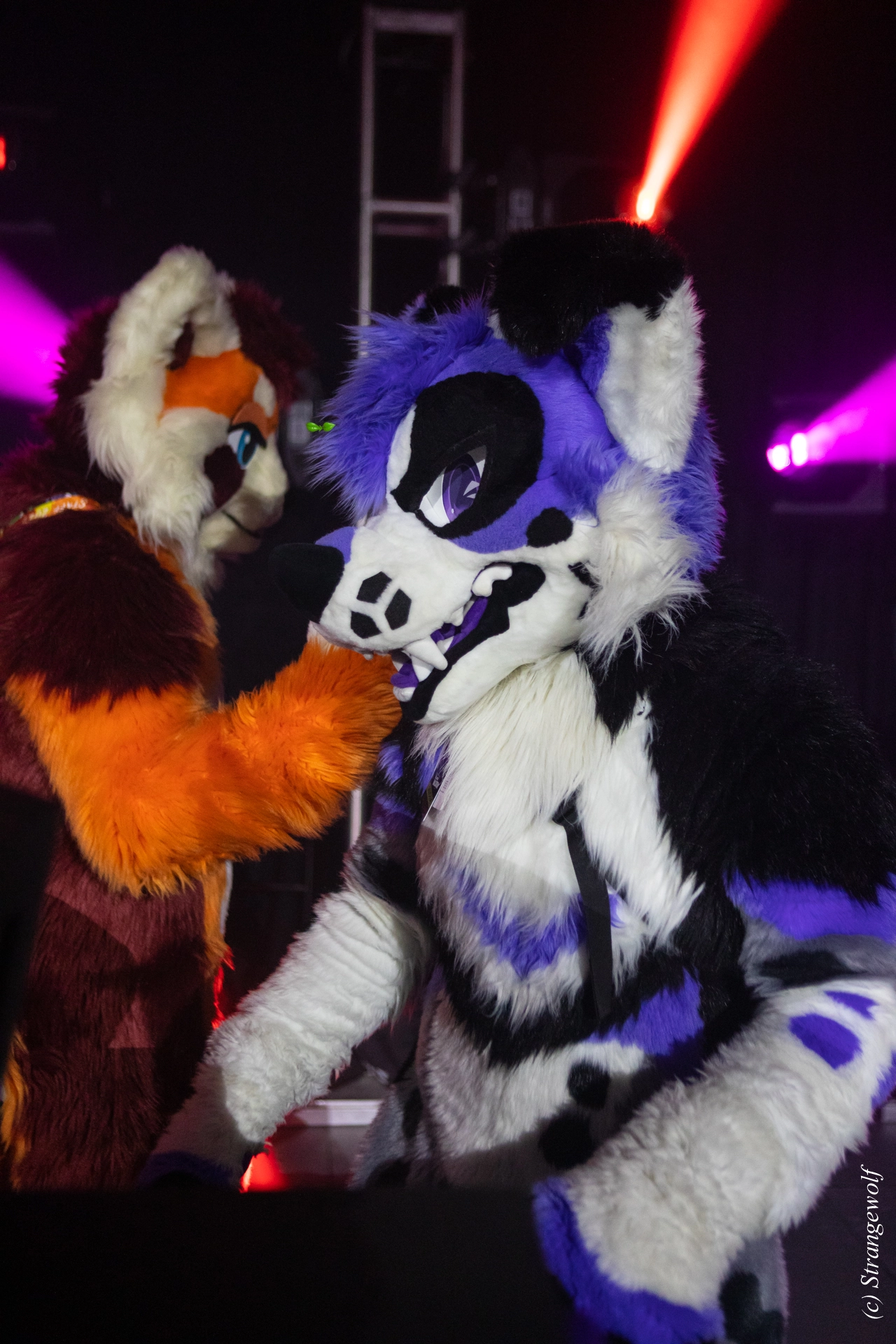 full image 1R3A0944-lr19t.jpg