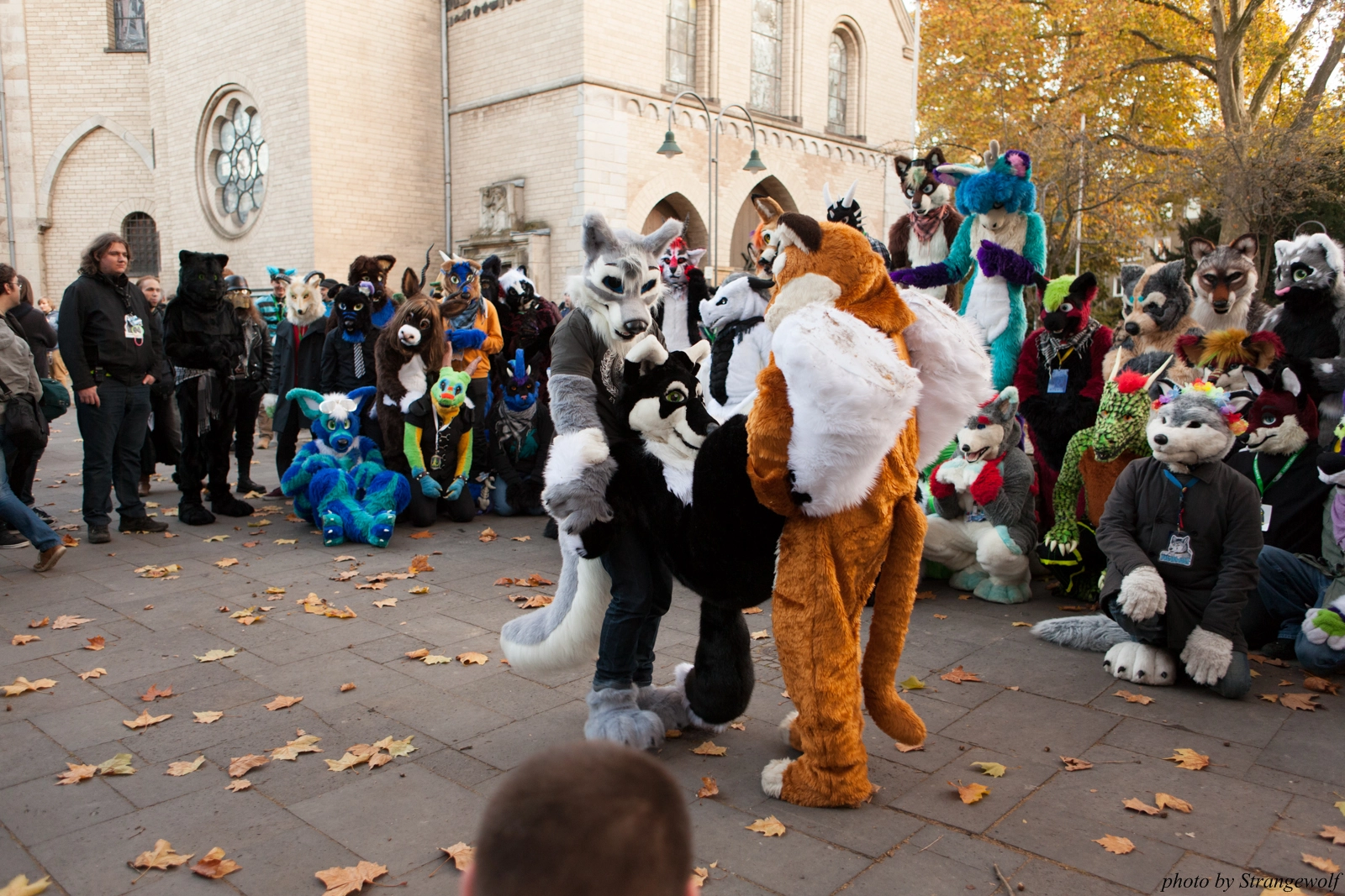 full image IMG_5307-lr16t.jpg