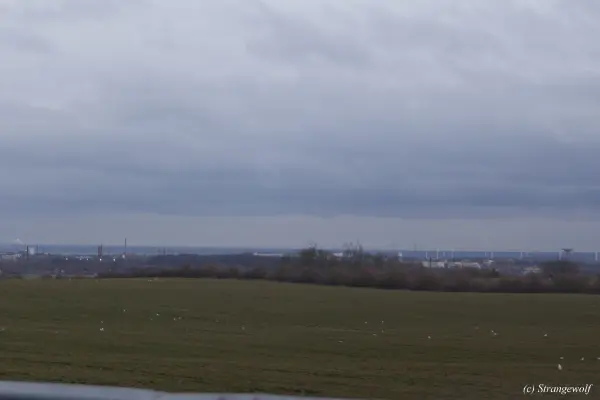 IMG_0009-lr19t.jpg of NFC/NFC2019/