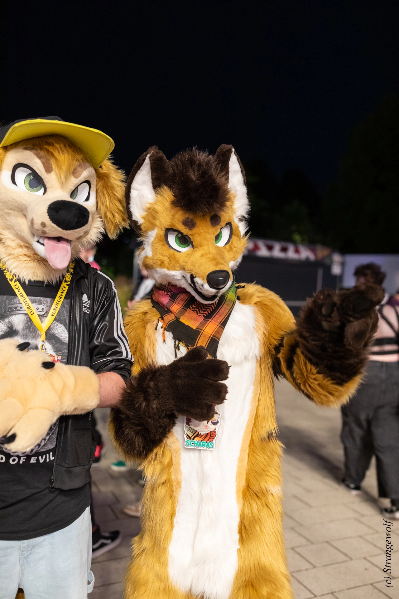 full image 1R3A9458-lr19t.jpg