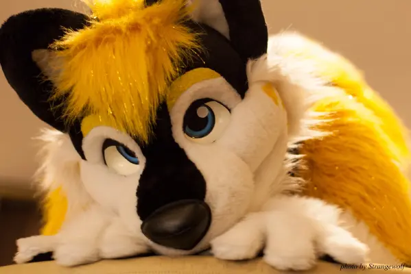 IMG_5373-lr16t.jpg of MFF/MFF2015/