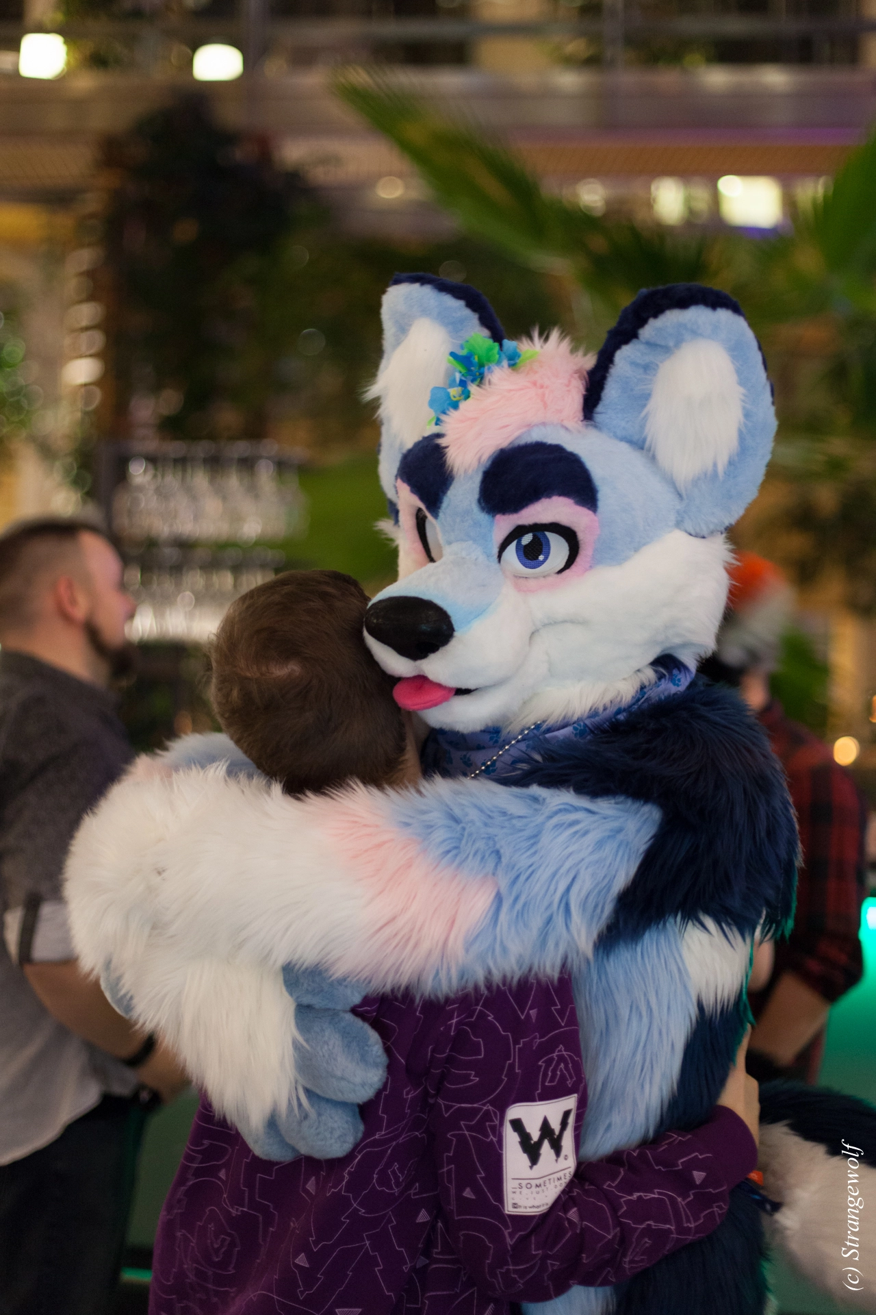 full image IMG_9727-lr19t.jpg