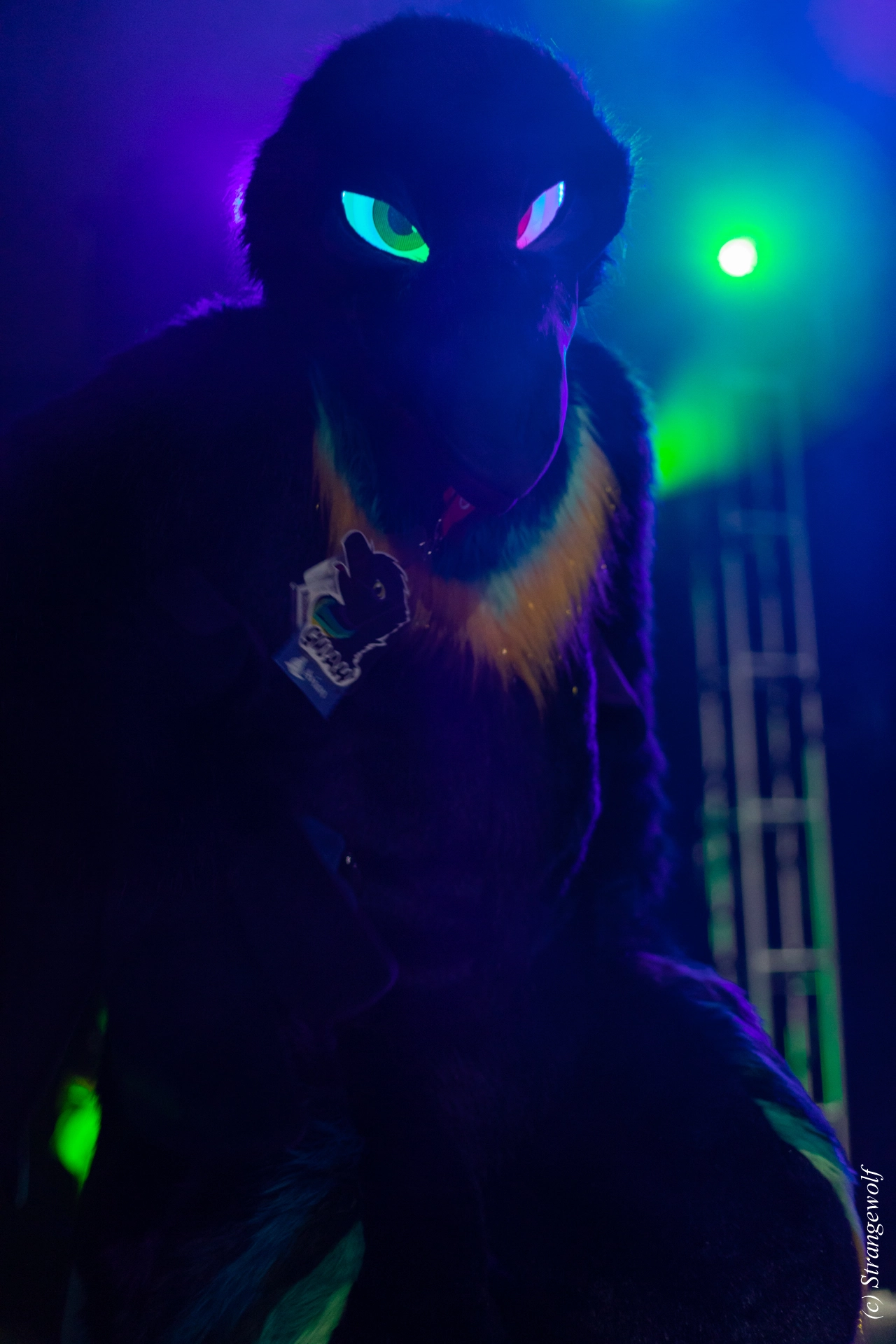 full image 1R3A0584-lr19t.jpg