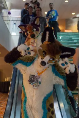 IMG_4132-lr16t.jpg of MFF/MFF2015/