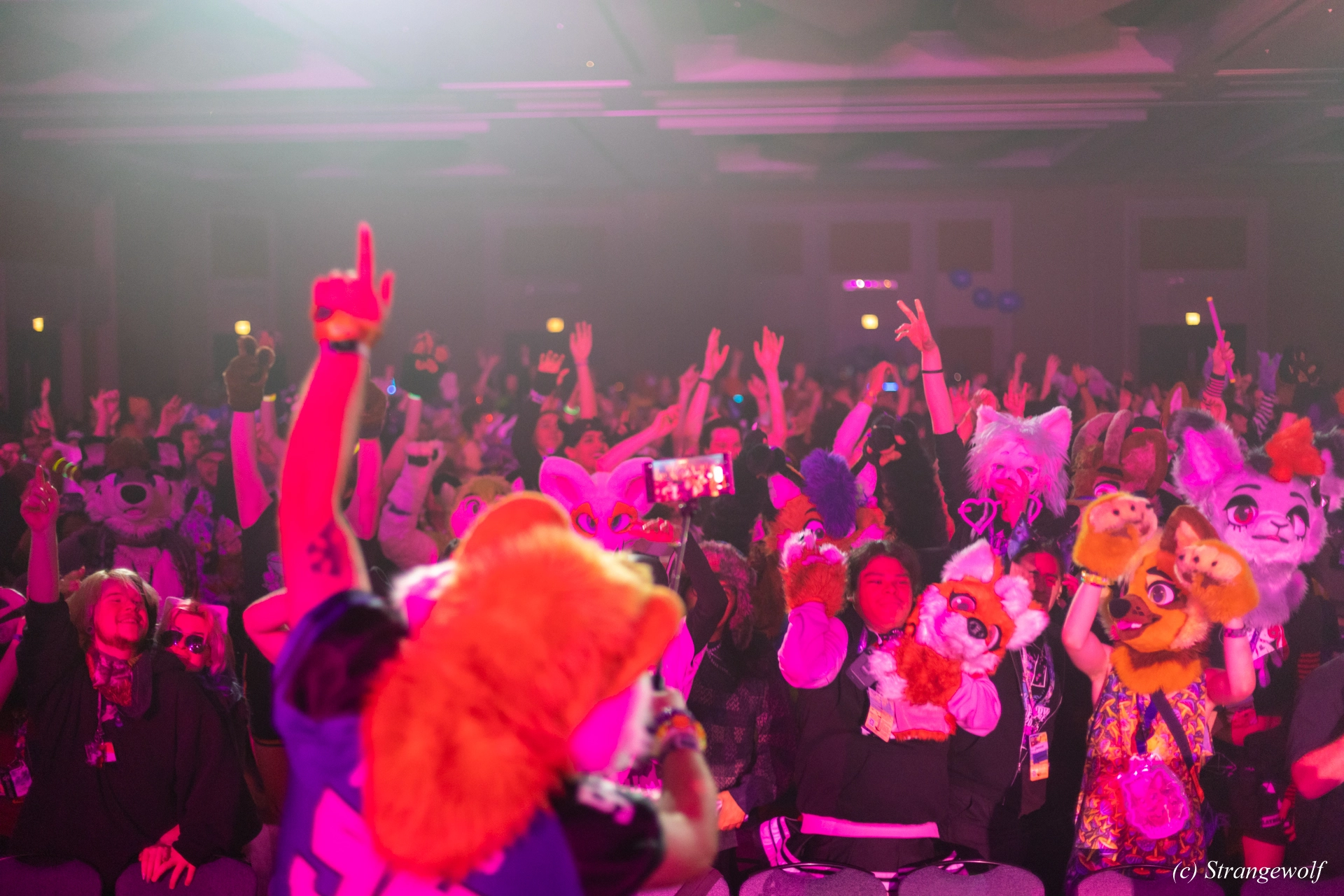 full image 1R3A0657-lr19t.jpg