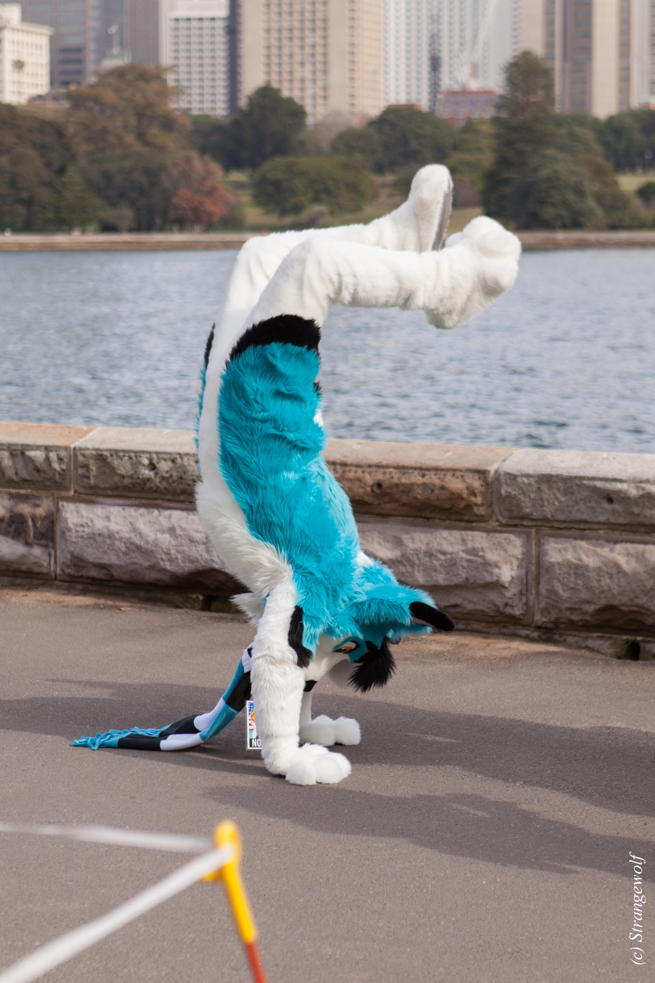 full image IMG_4334-lr19t.jpg