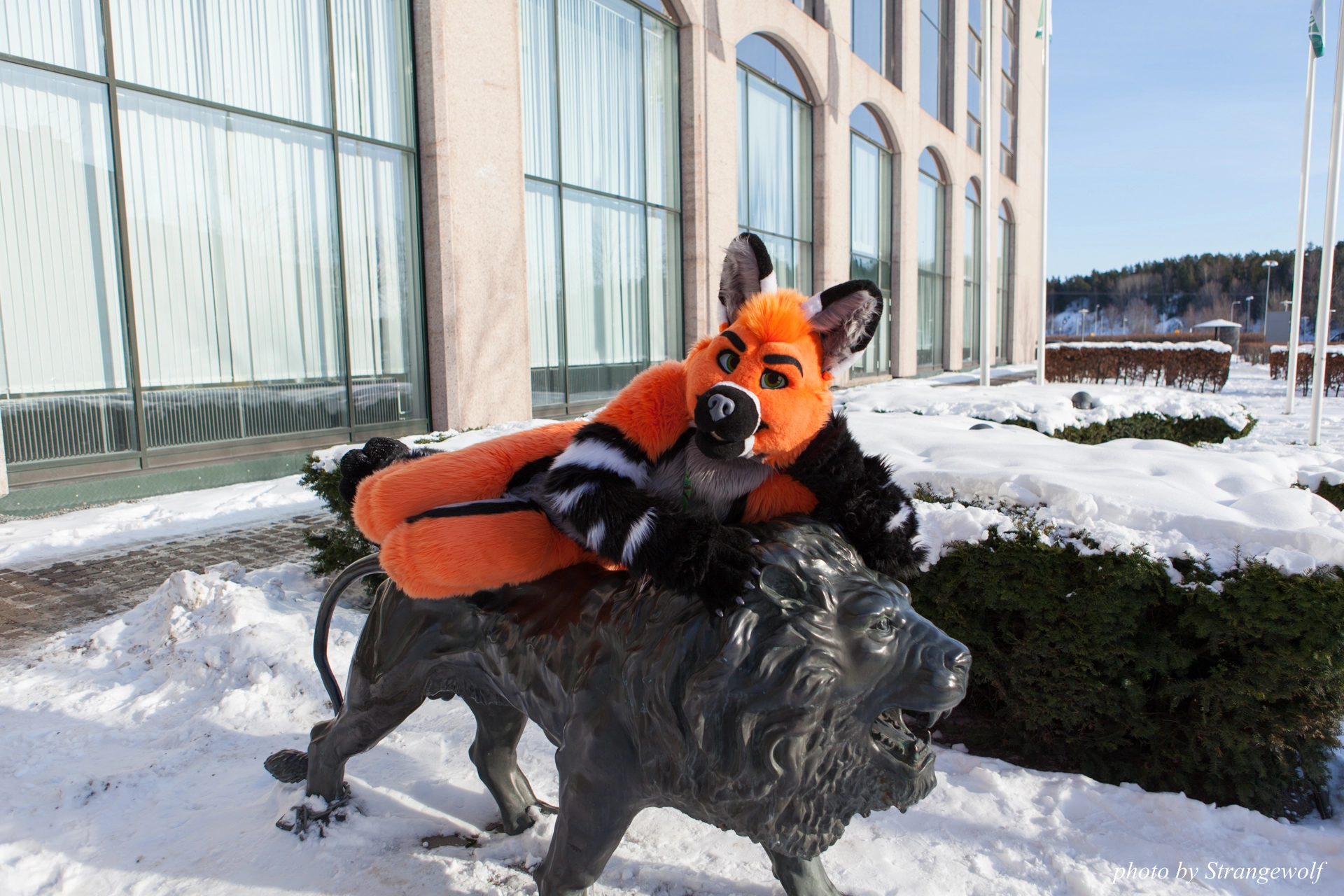 full image IMG_0093-lr19t.jpg