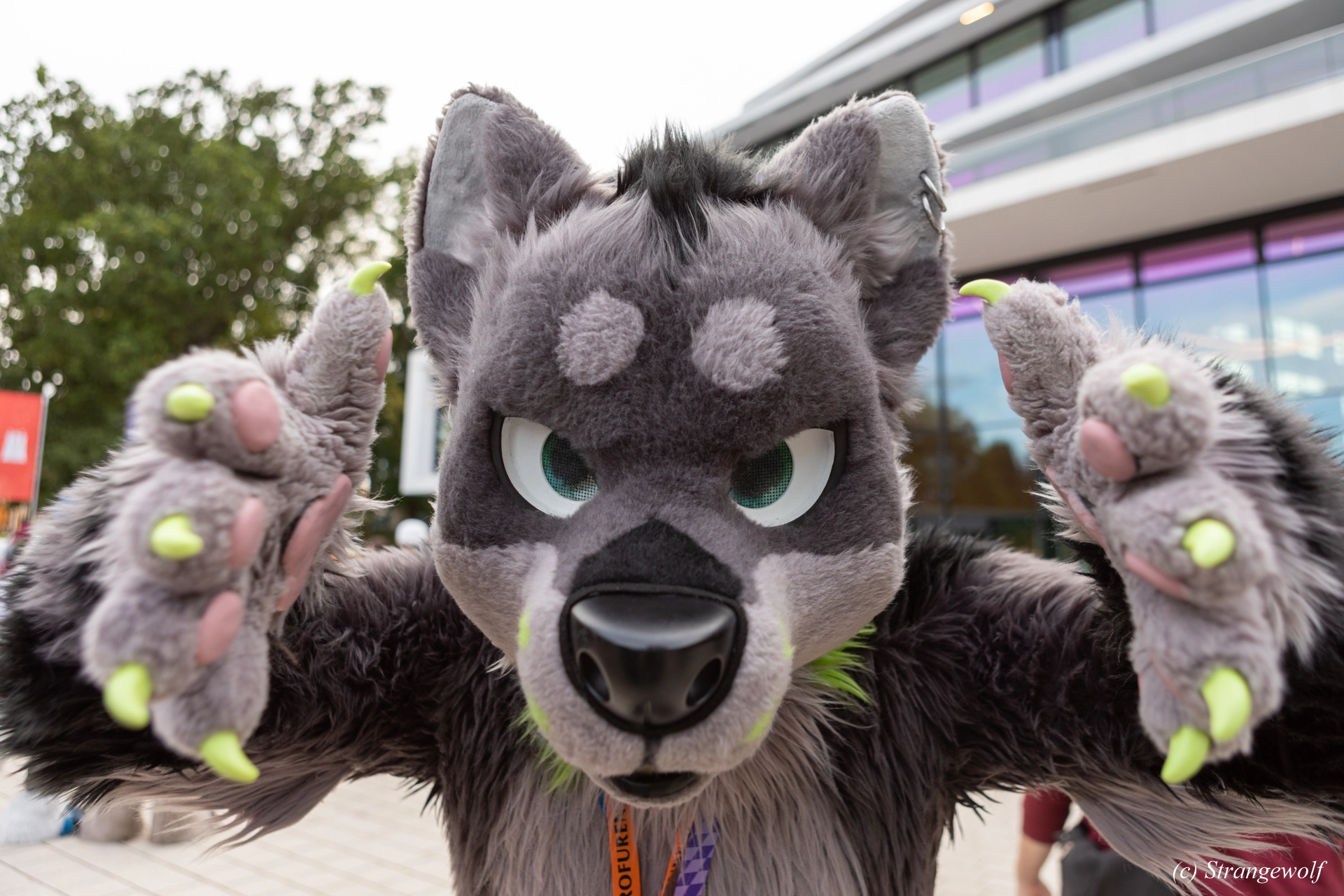 full image 1R3A9147-lr19t.jpg