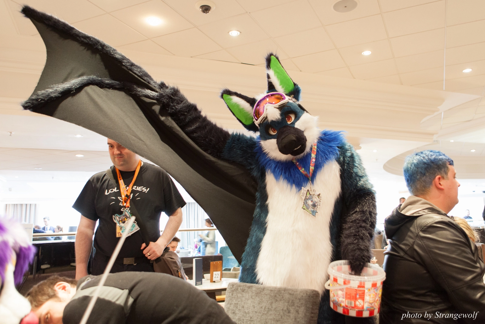 full image IMG_7517-lr16t.jpg