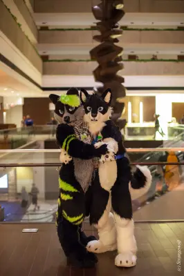 IMG_6555-lr19t.jpg of MFF/MFF2015/