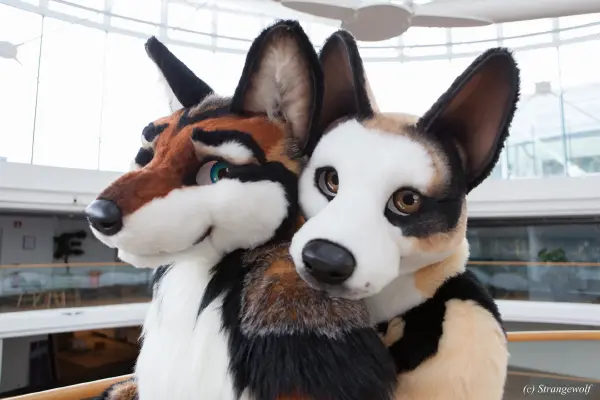 IMG_0475-lr19t.jpg of NFC/NFC2018/