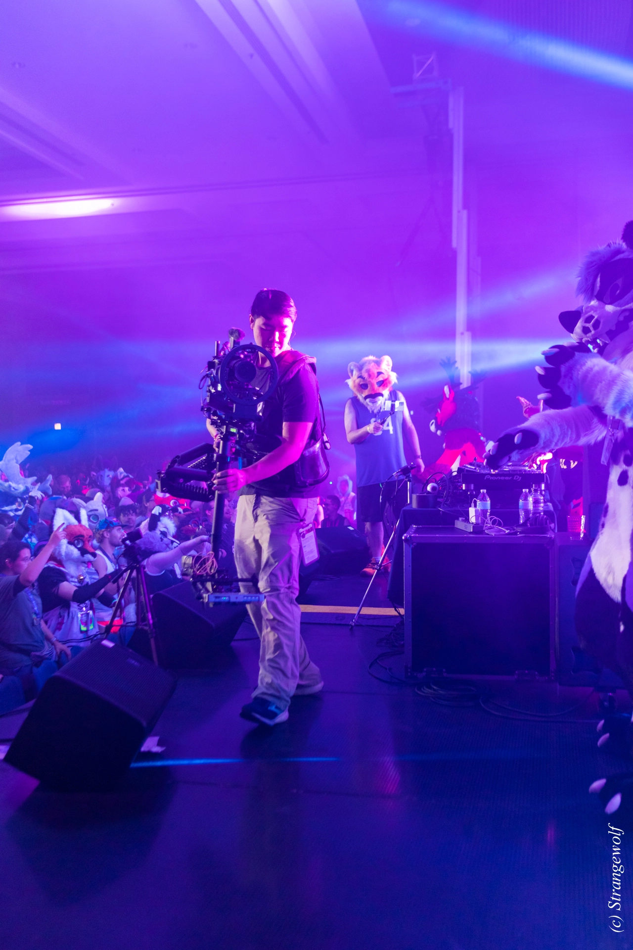 full image 1R3A5488-lr19t.jpg