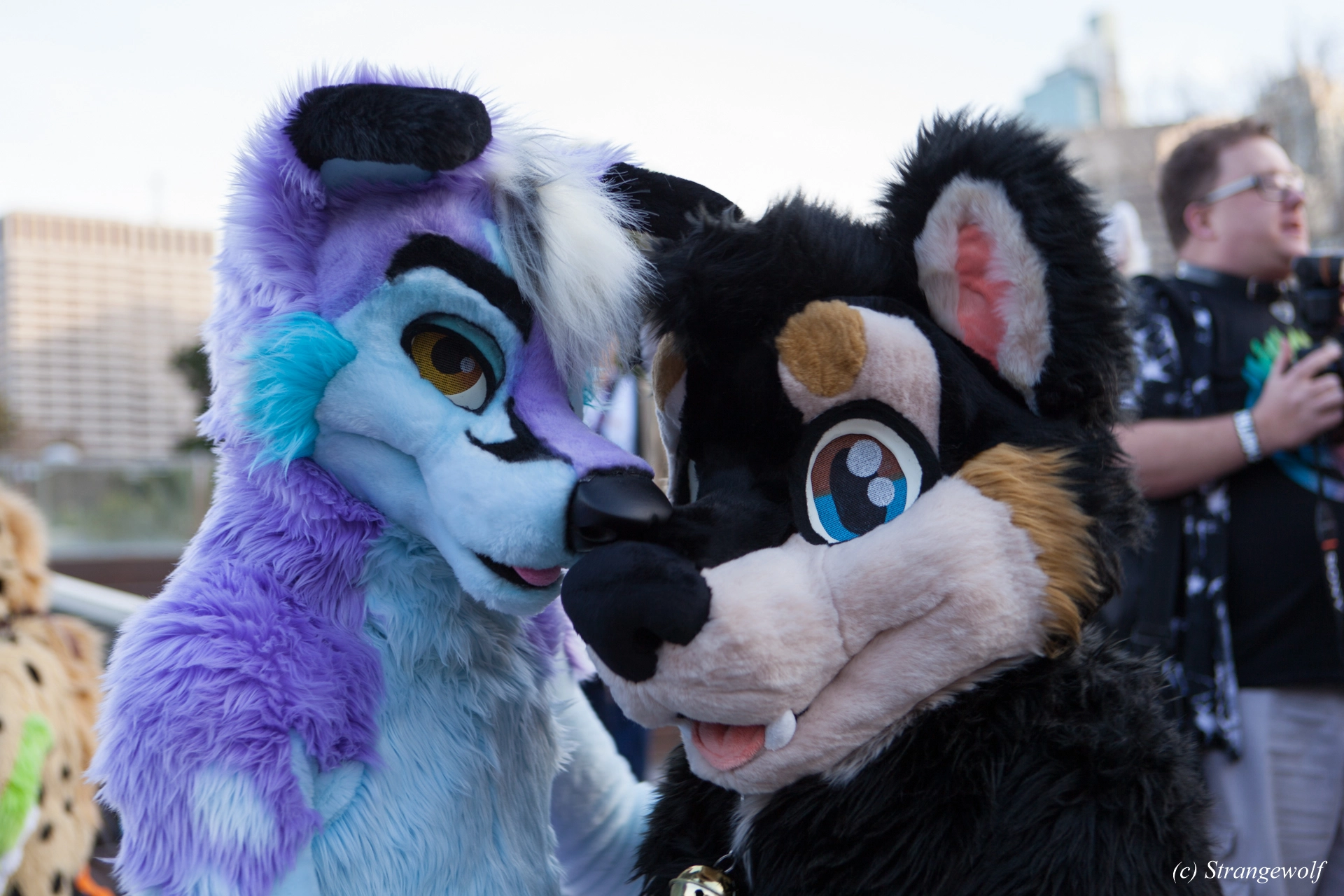 full image IMG_4671-lr19t.jpg