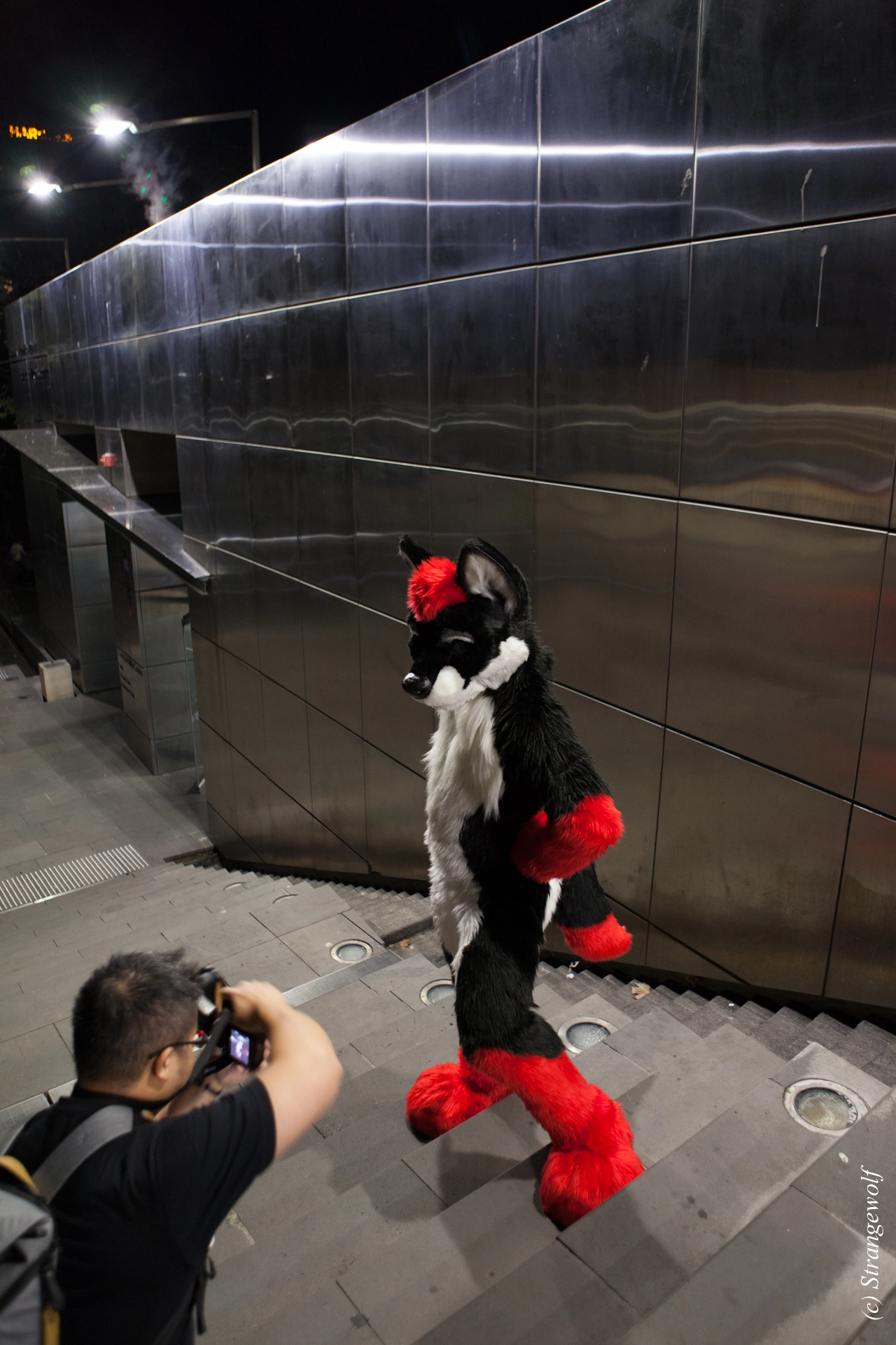 full image IMG_4528-lr19t.jpg