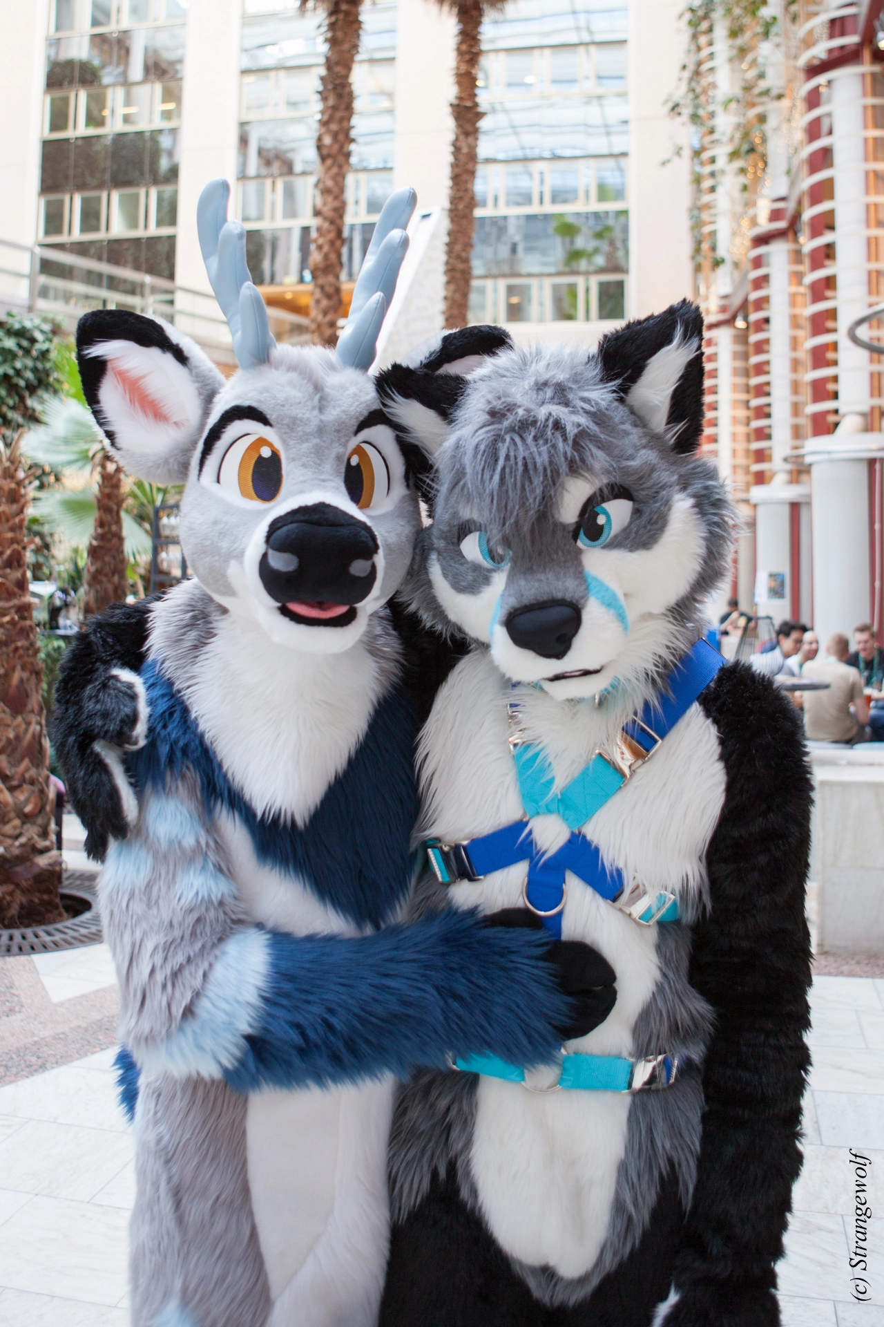 full image IMG_8701-lr19t.jpg