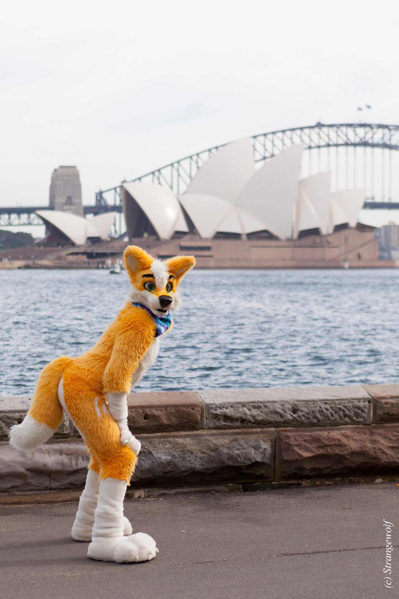 full image IMG_4321-lr19t.jpg