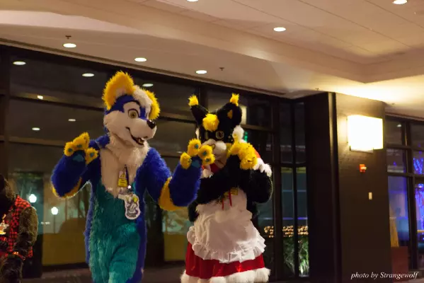 IMG_5953-lr16t.jpg of MFF/MFF2014/