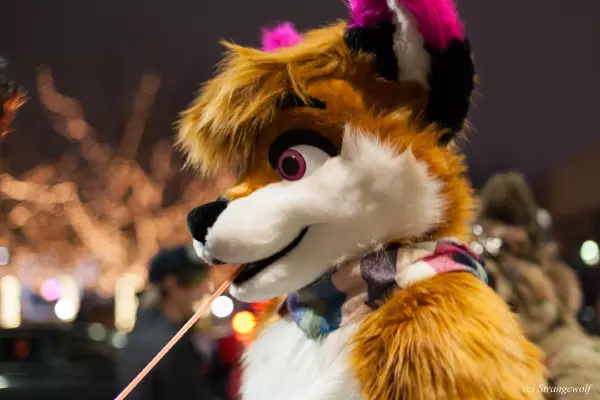 IMG_7323-lr19t.jpg of MFF/MFF2018/