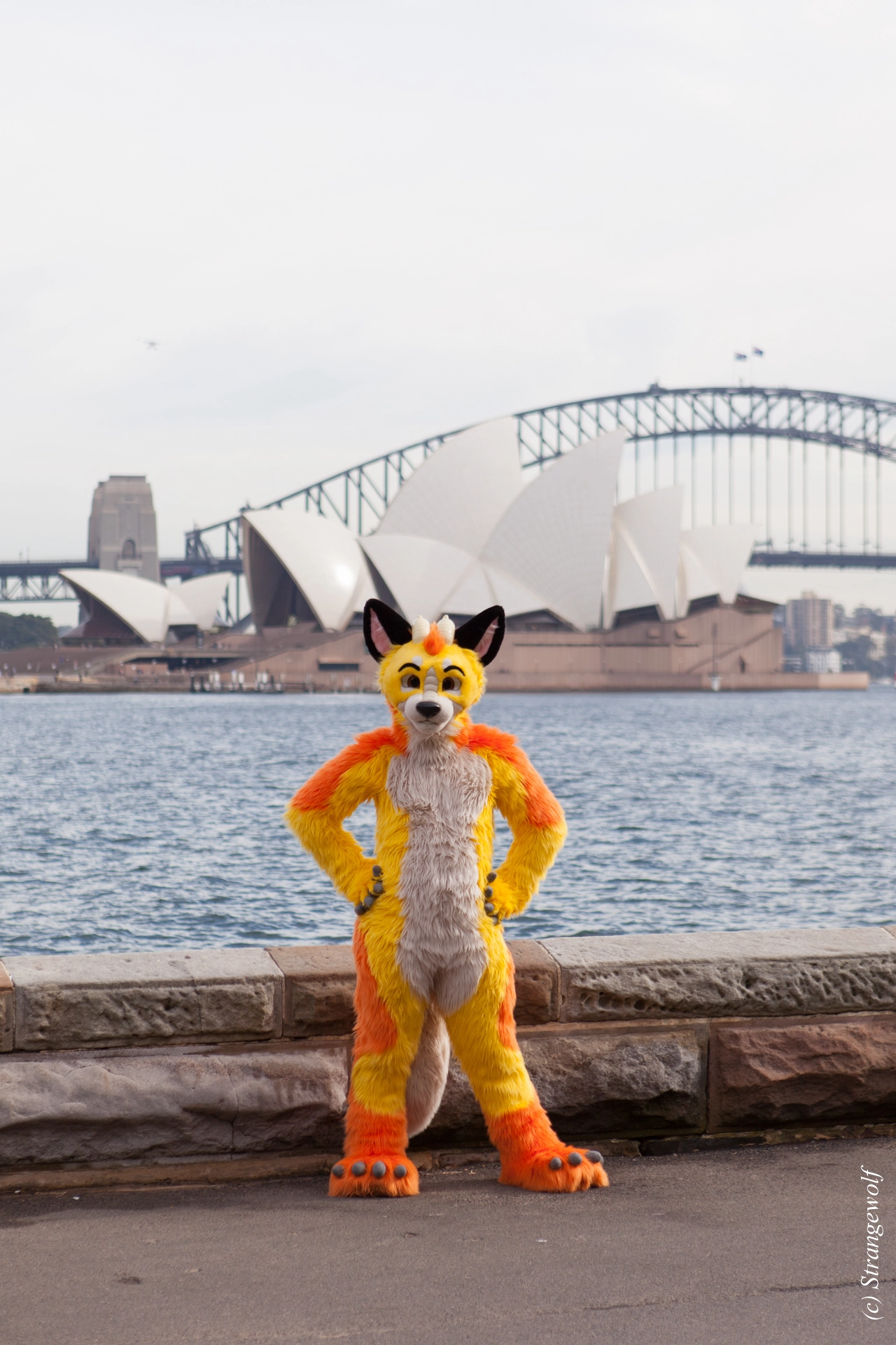 full image IMG_4278-lr19t.jpg