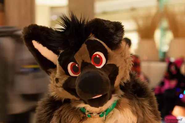 IMG_1825-lr19t.jpg of MFF/MFF2021/