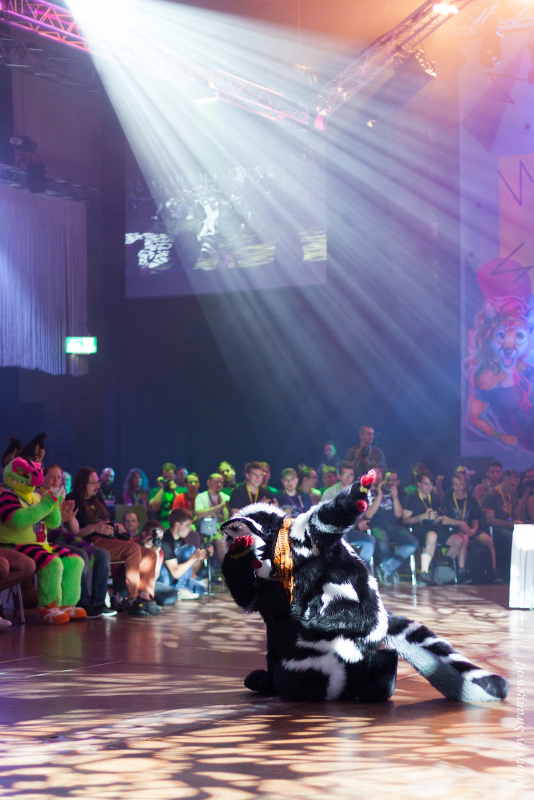 full image IMG_9818-lr16t.jpg