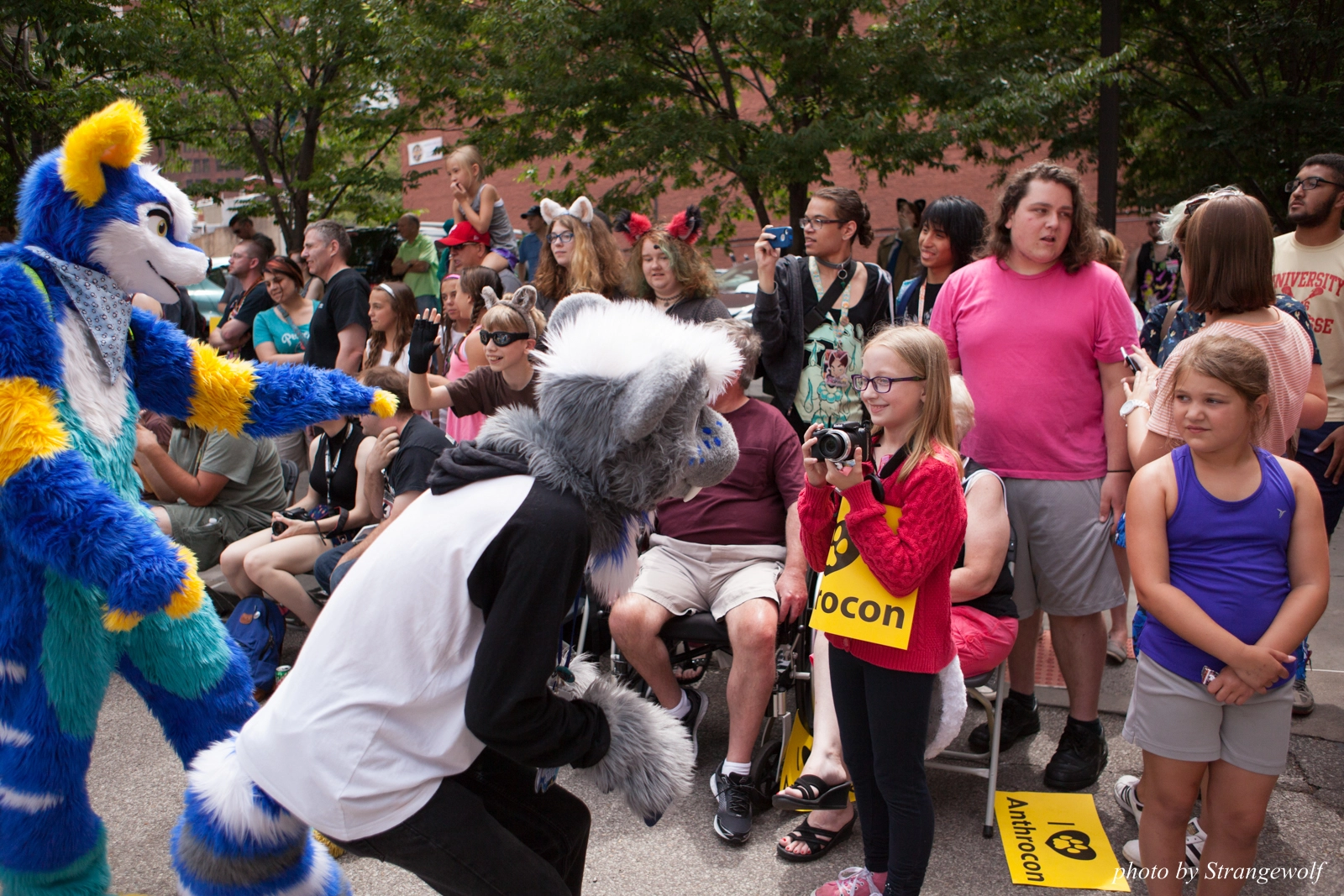 full image IMG_8065-lr16t.jpg