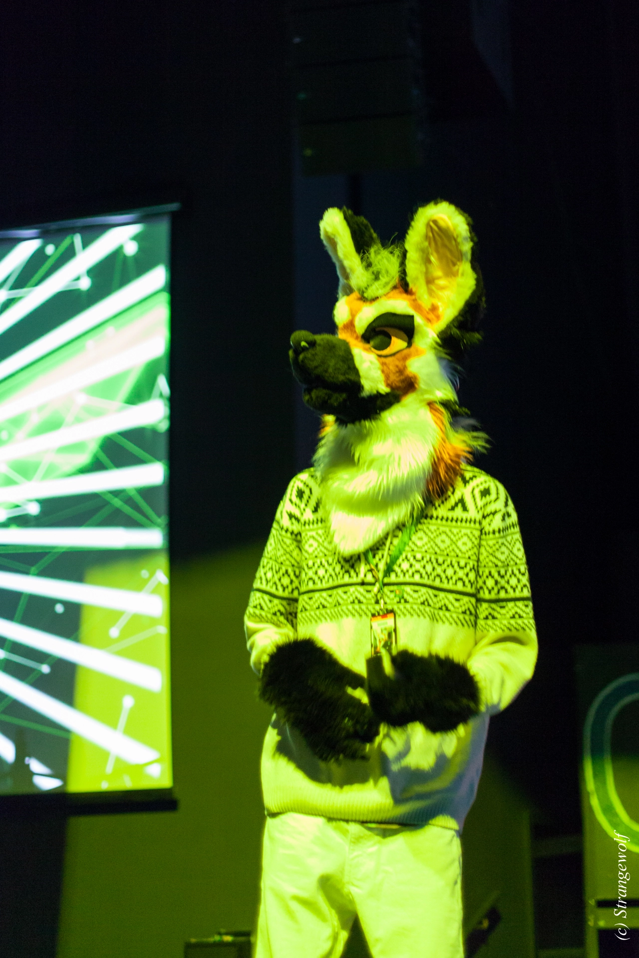 full image IMG_9356-lr19t.jpg