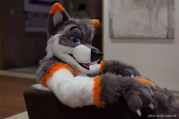 IMG_1610-lr16t.jpg of NFC/NFC2017/