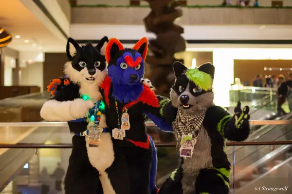 IMG_6550-lr19t.jpg of MFF/MFF2015/