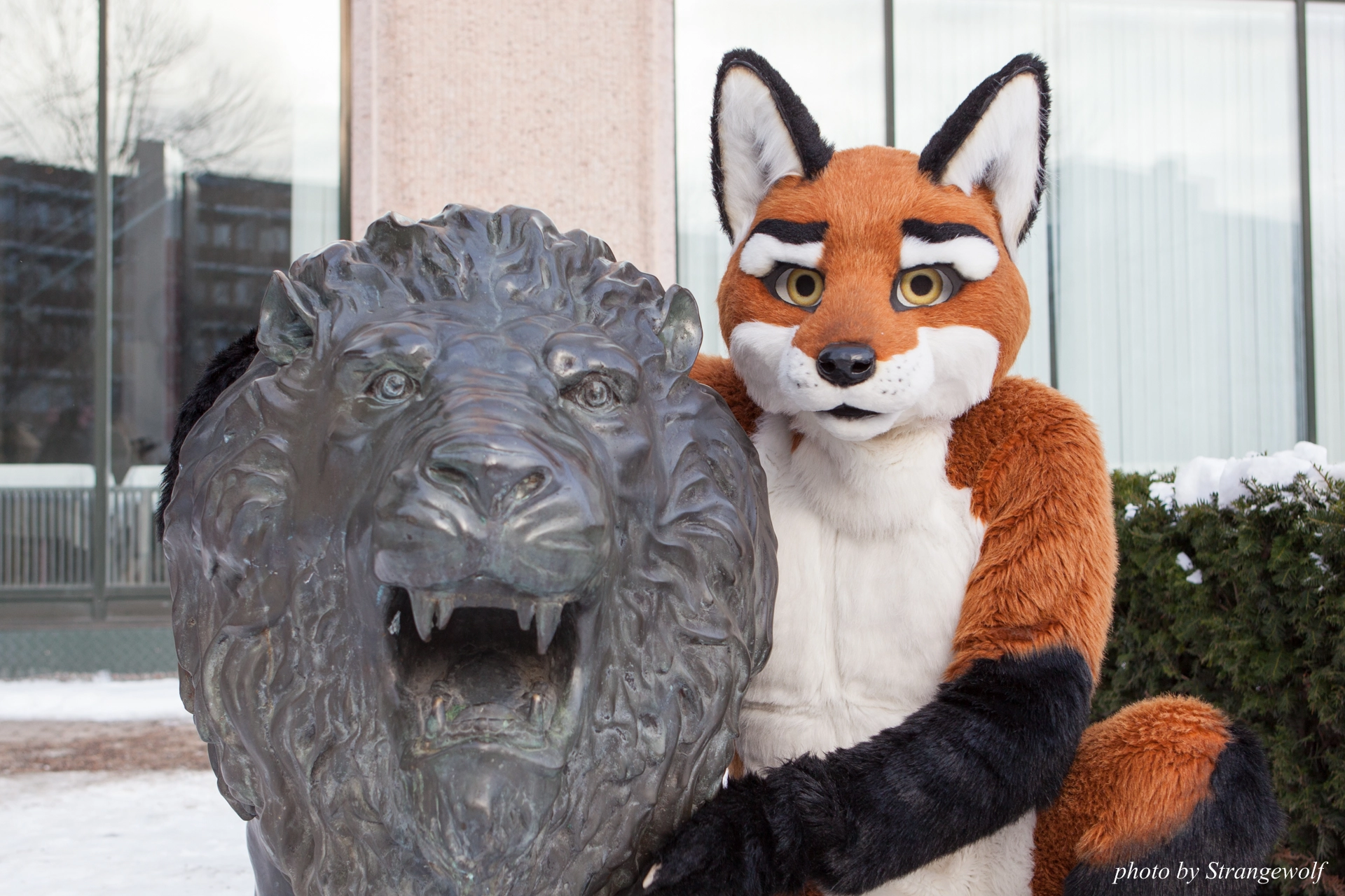 full image IMG_0345-lr19t.jpg