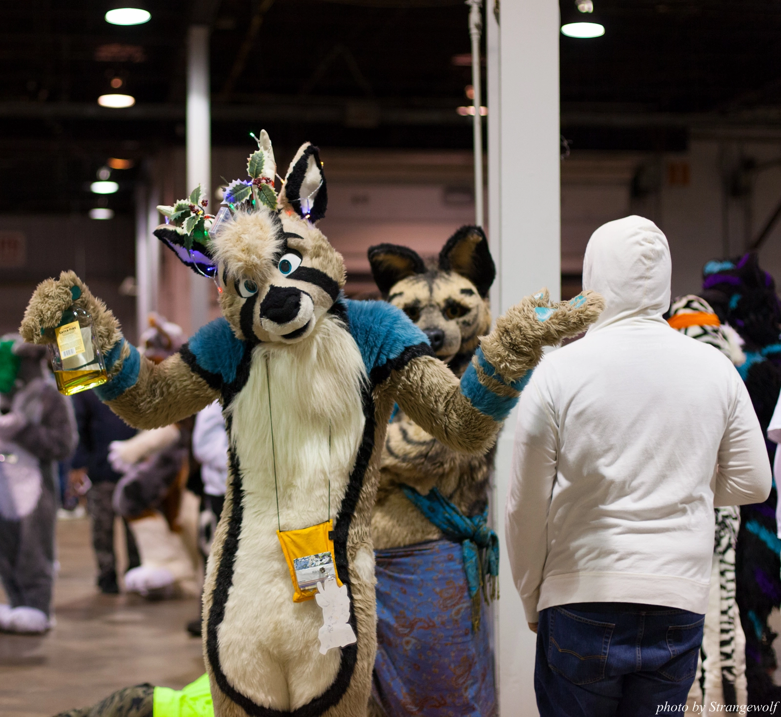 full image IMG_6488-lr16t.jpg