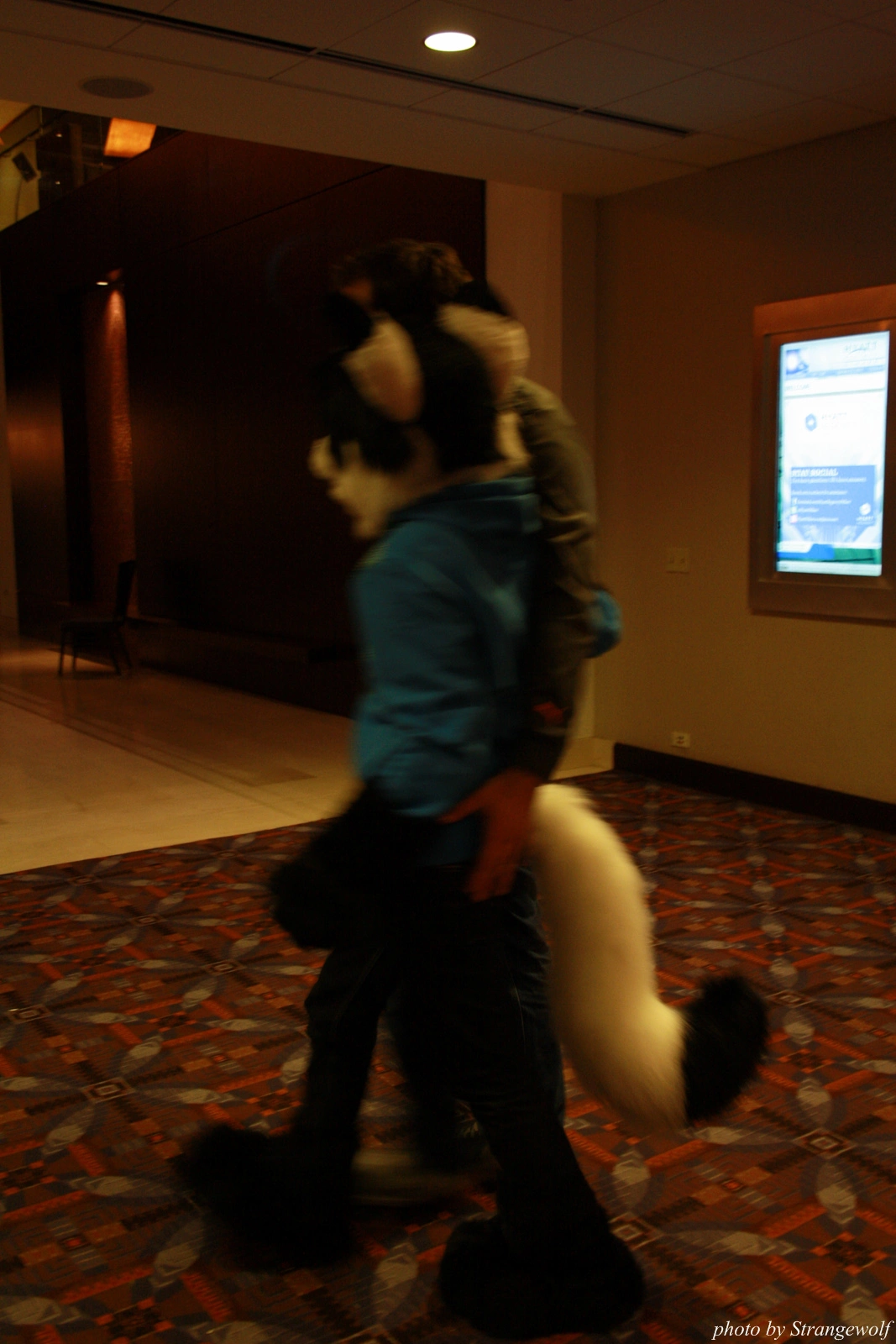 full image IMG_0401-lr.jpg