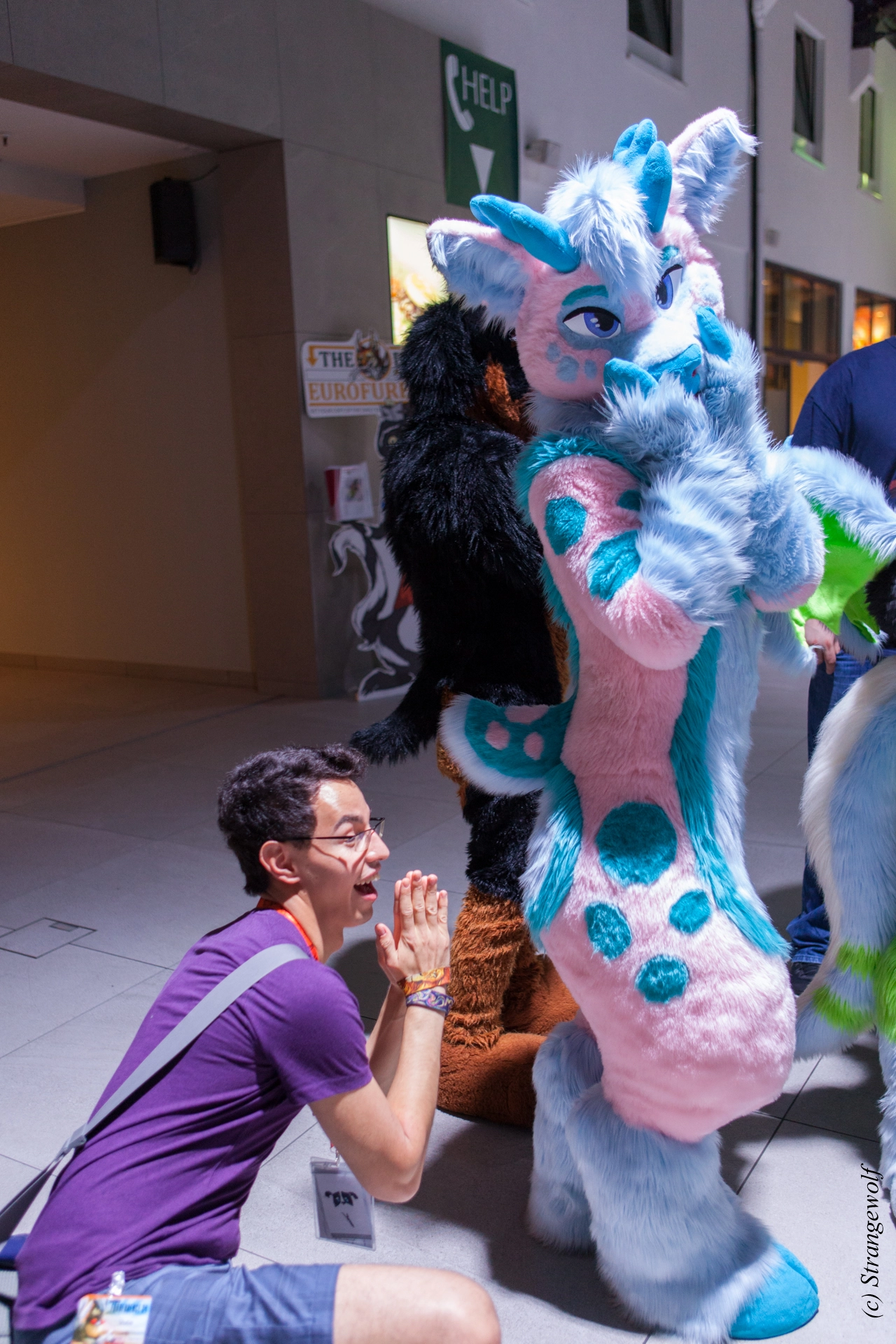 full image IMG_5005-lr19t.jpg