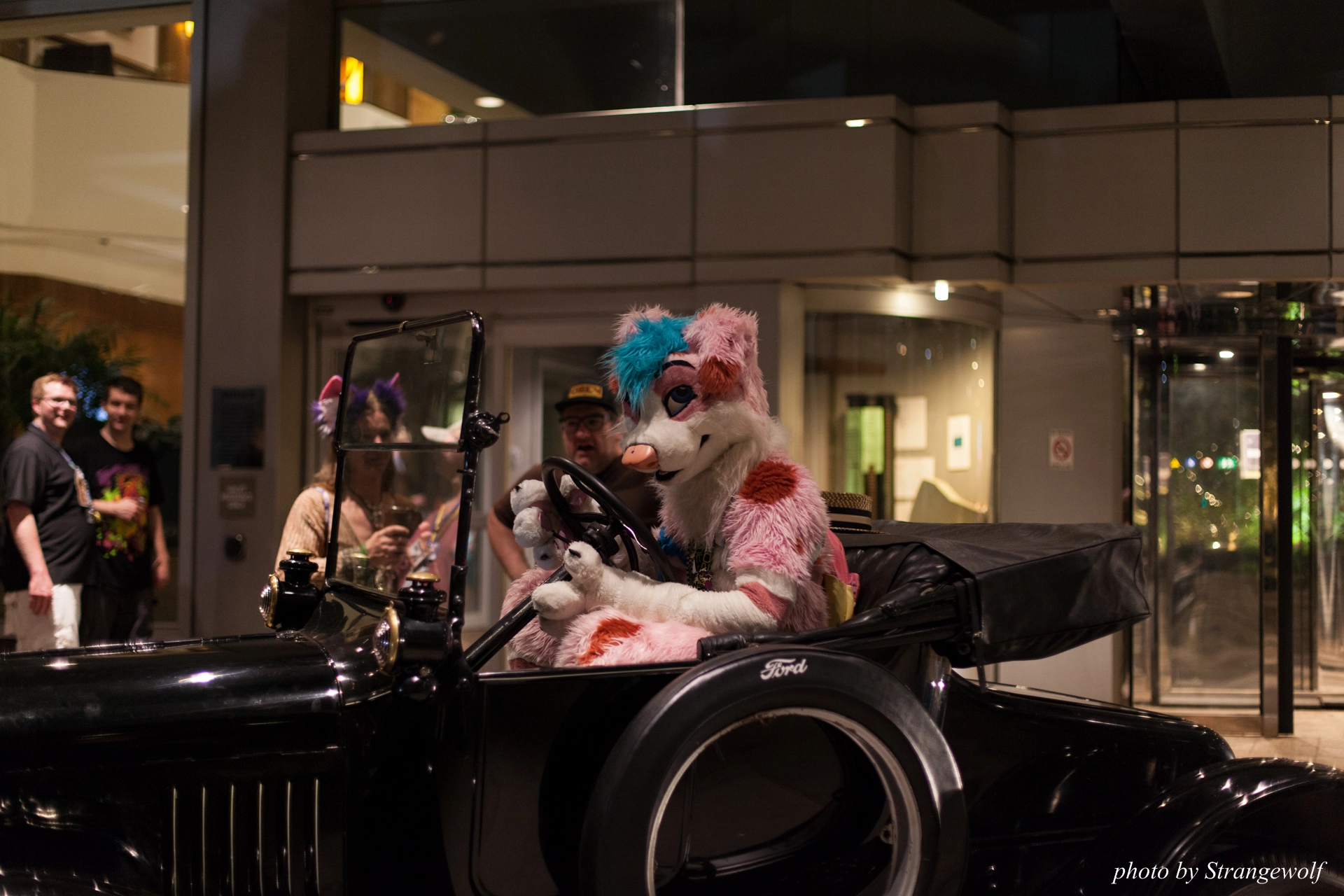 full image IMG_4371-lr19t.jpg