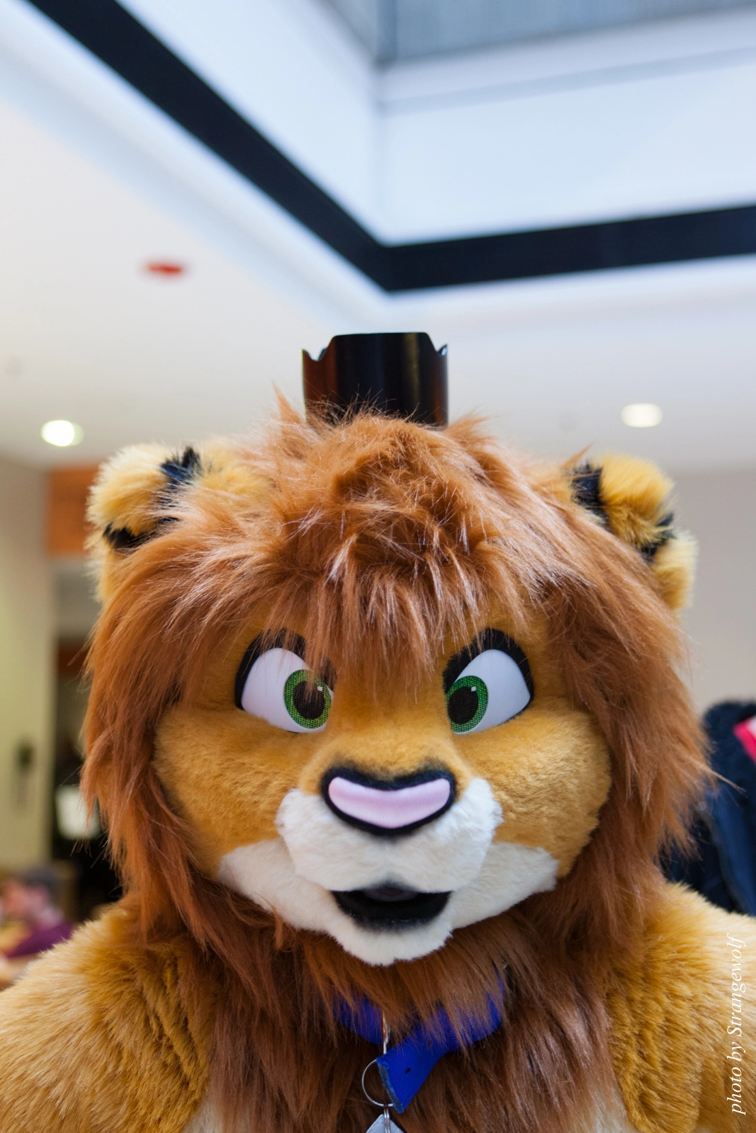 full image IMG_0677-lr16t.jpg