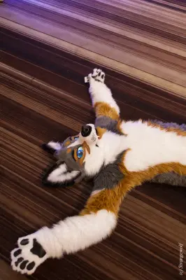 IMG_1935-lr19t.jpg of FWA/FWA2018/