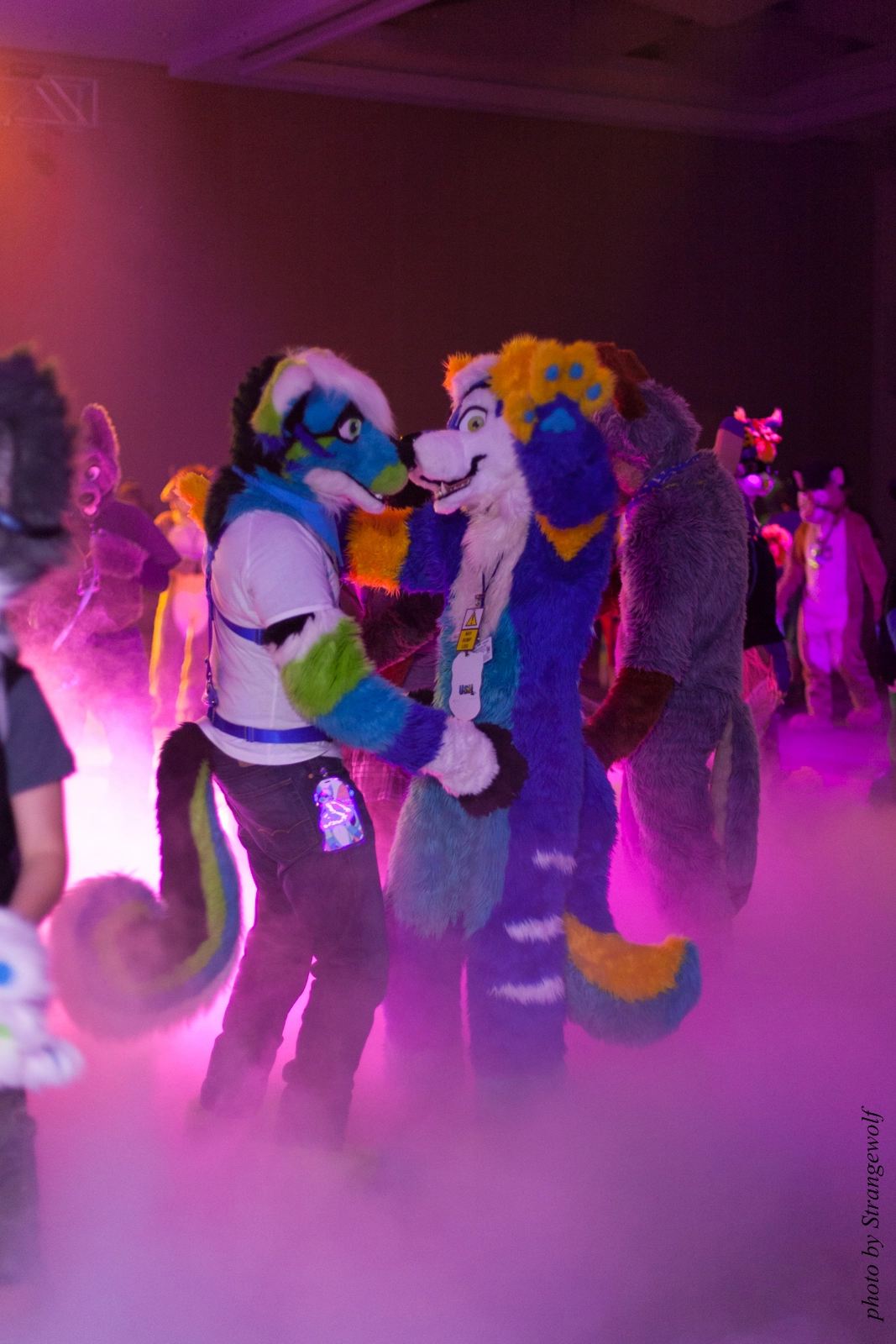 full image IMG_6106-lr16t.jpg