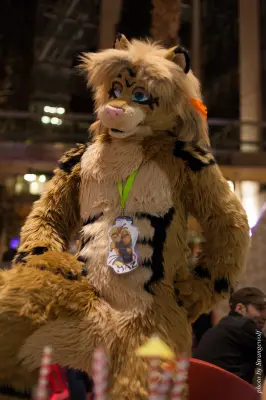 IMG_2481-lr16t.jpg of NFC/NFC2017/