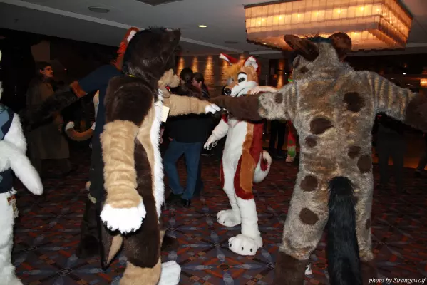 IMG_1136-lr.jpg of MFF/MFF2013/