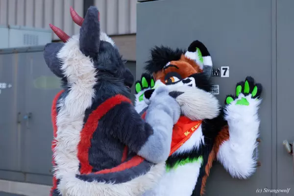 IMG_0979-lr19t.jpg of MFF/MFF2021/