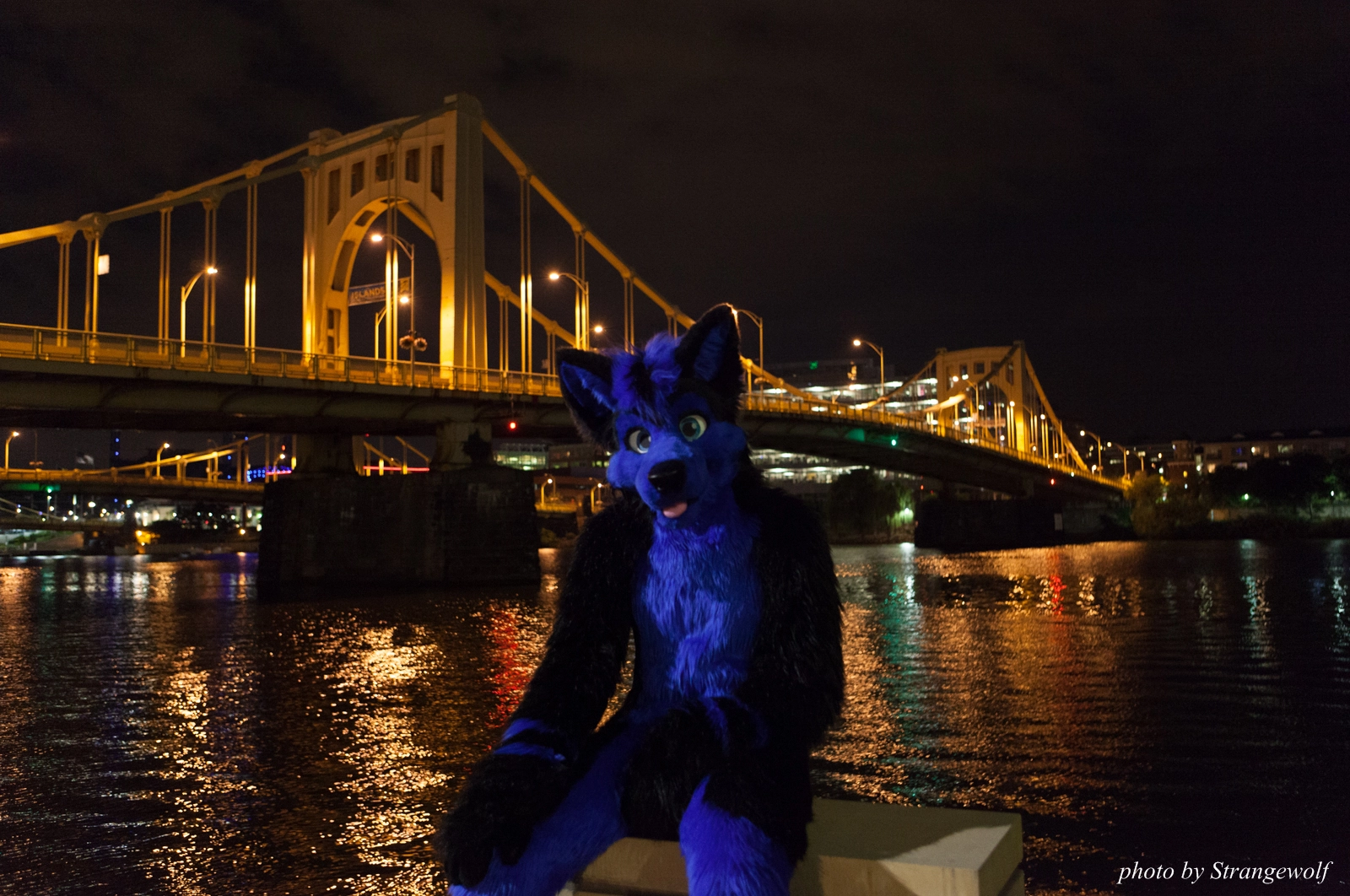 full image IMG_8524-lr16t.jpg