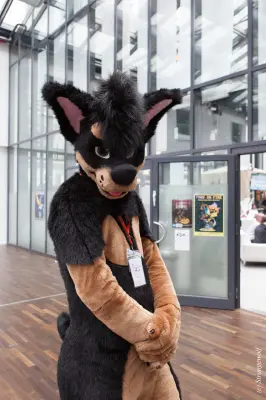 IMG_5316-lr19t.jpg of EF/EF24/